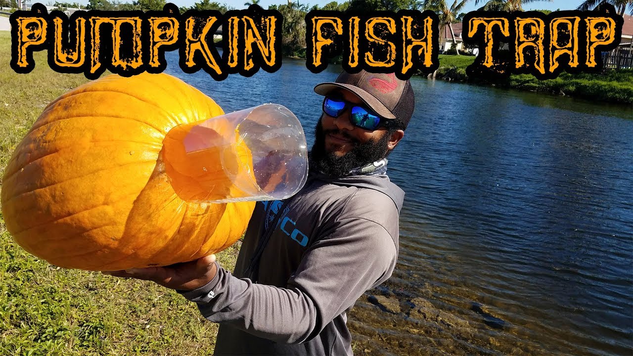 DIY Fish Trap with Halloween Pumpkin | Monster Mike