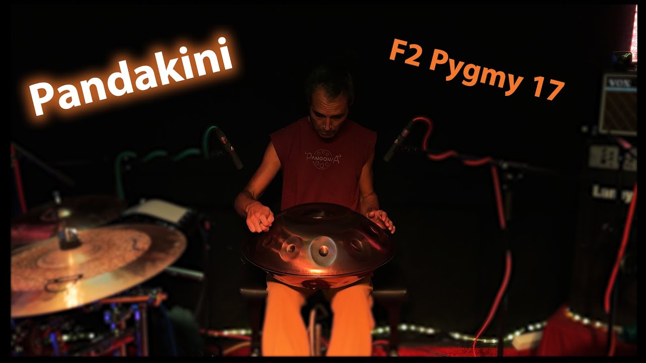 Pandakini  -  F2 Pygmy 17