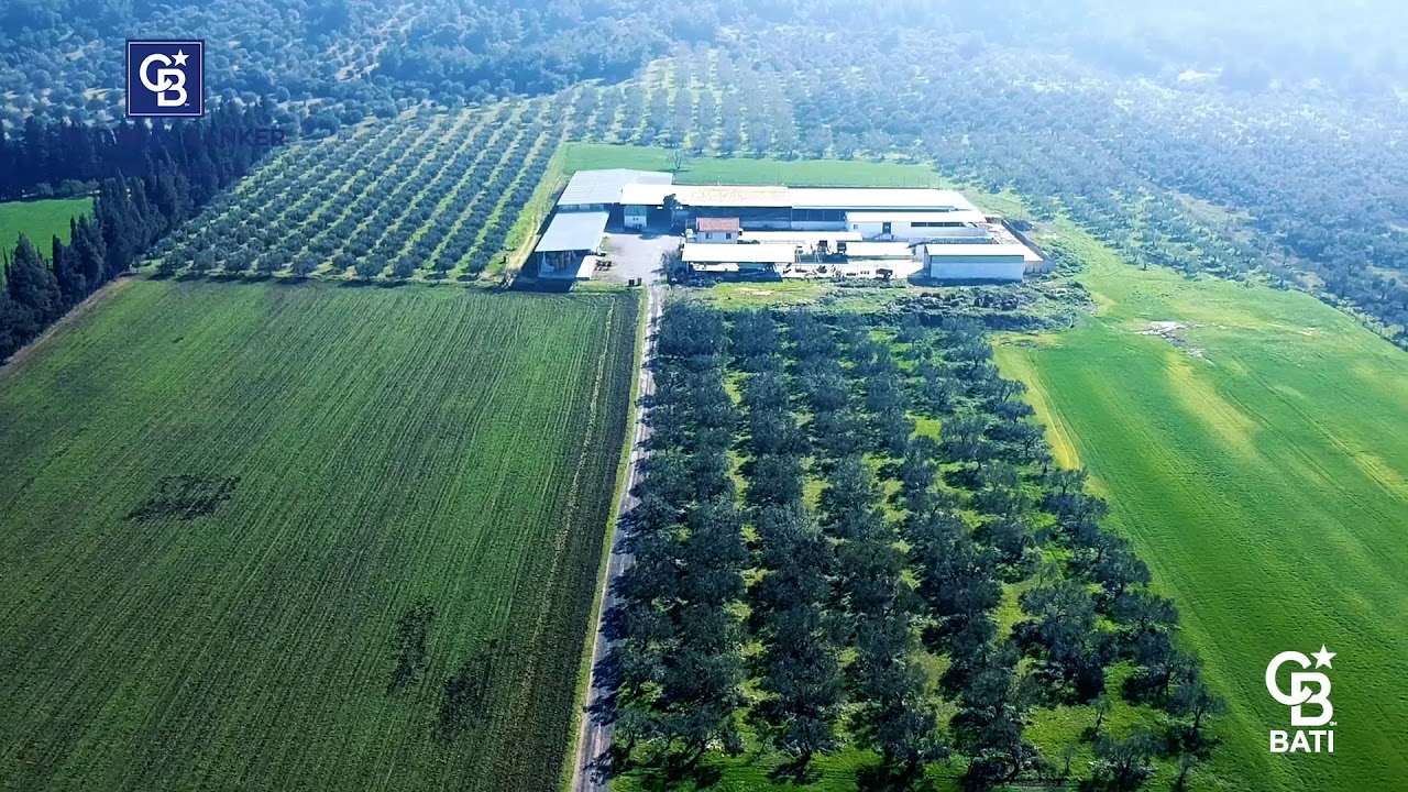 İzmir Foça'da 118 Dönüm Muhteşem Satılık Çiftlik Portföyümüz