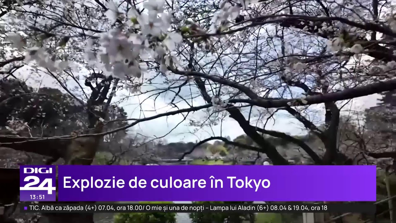 🟣 Știrile Digi24  de la ora 13  &ndash; 27 martie 2026