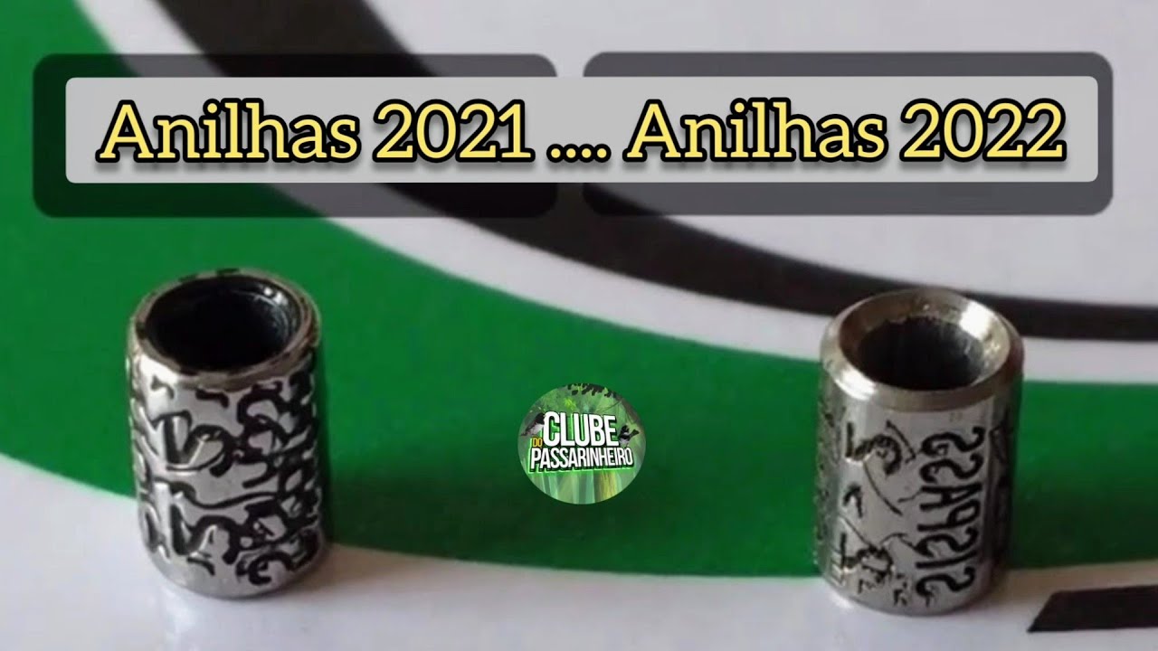 ANILHAS SISPASS NOVAS o que Mudou ????