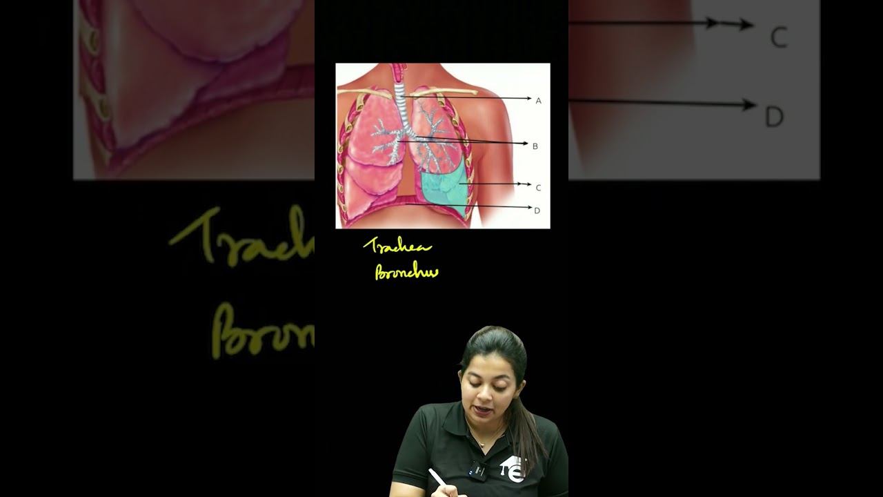Class 9 Biology | A+ Questions👉