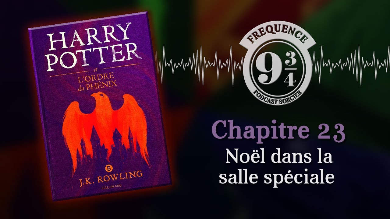 Noël dans la salle spéciale (Harry Potter 5, chapitre 23)