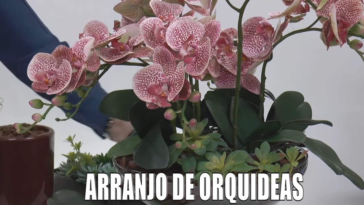 Como Fazer um Maravilhoso Arranjo de Orquidea Artificial para Sala de Jantar