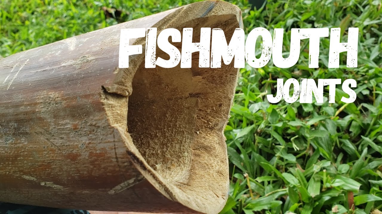 Bamboo Construction:  Making Fishmouth Joints