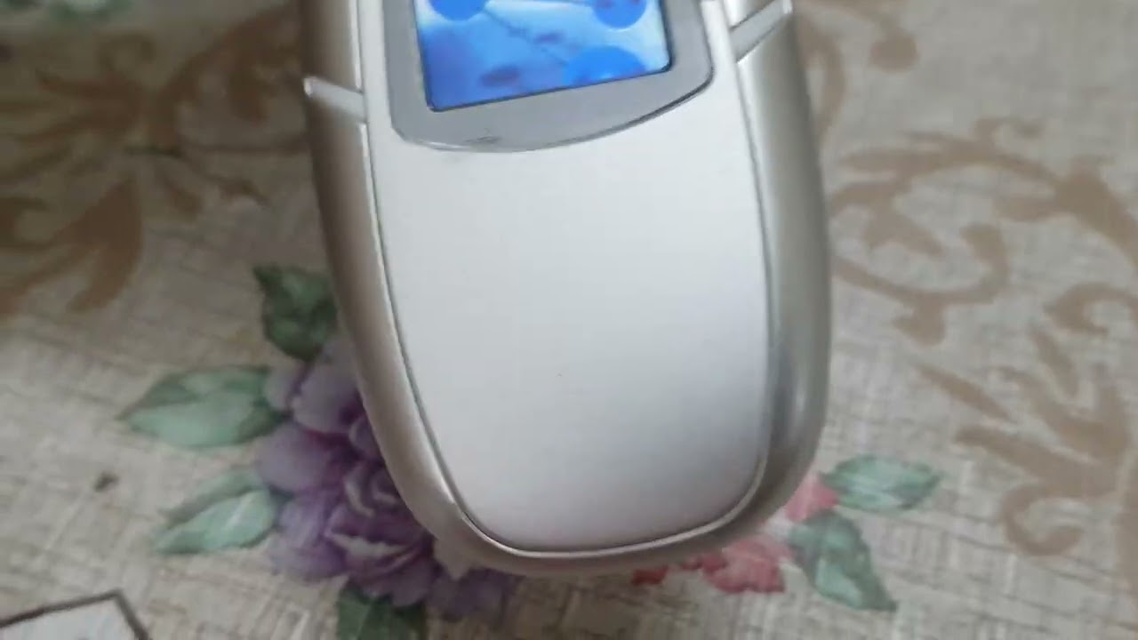 samsung sgh e310 startup but something is wrong