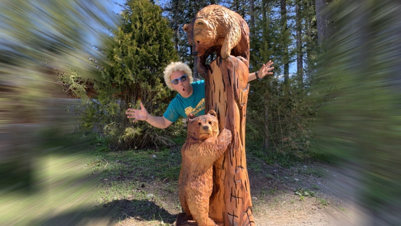 CUTEST GRIZZLY BEAR CUBS  playing in a Tree - Woodcarving