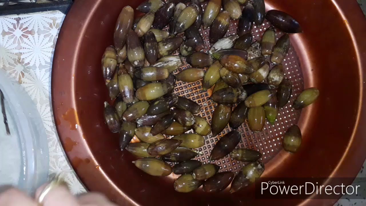كيفية صنع دقيق البلوط الخالي من الغلوتان للكسكس و الحلويات
