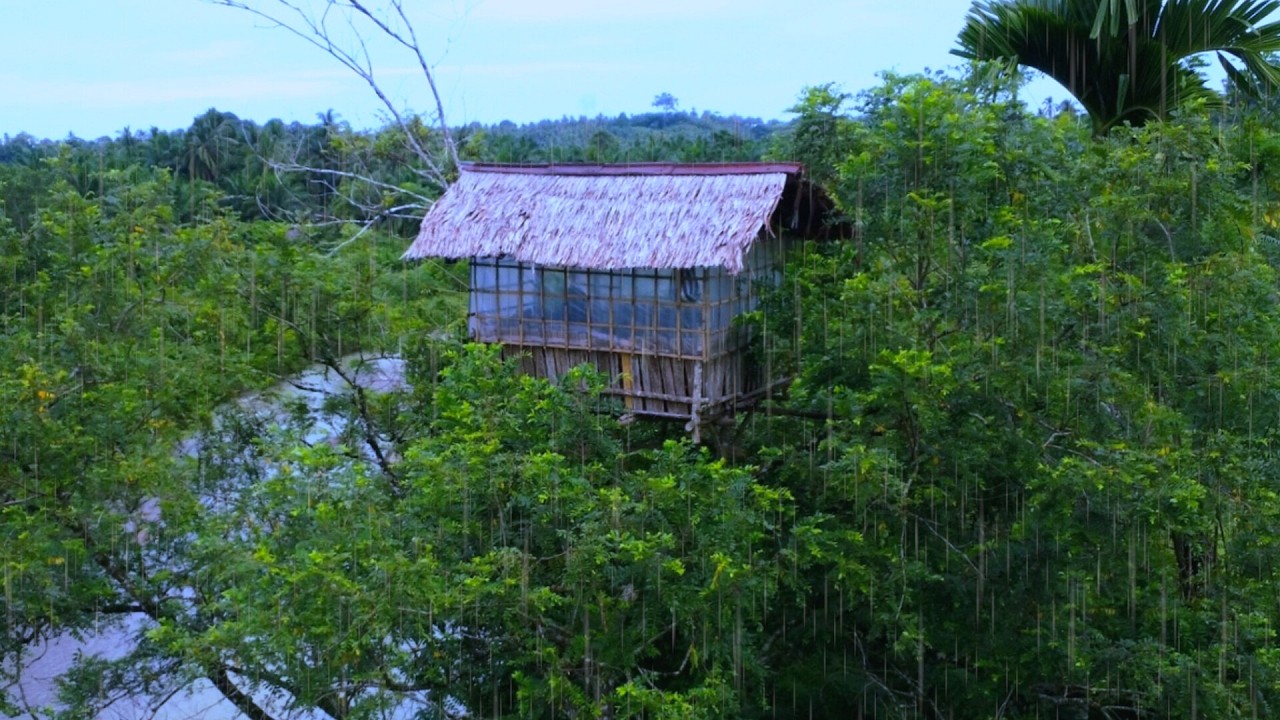 Camping Hujan Deras - Dihantam Hujan Deras Berkali - Kali Di rumah pohon Tua