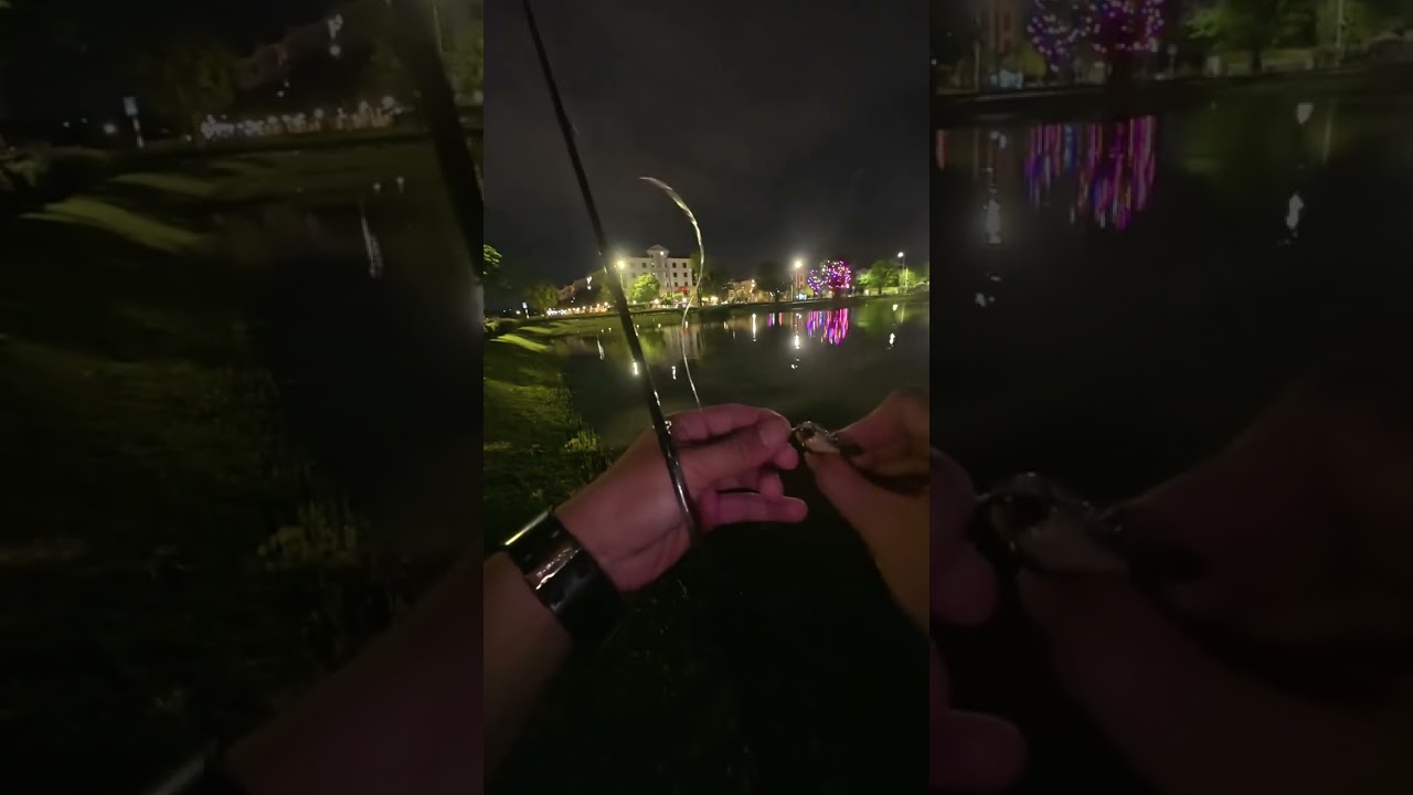 Đi lure 4h sáng tại Vinhomes. 