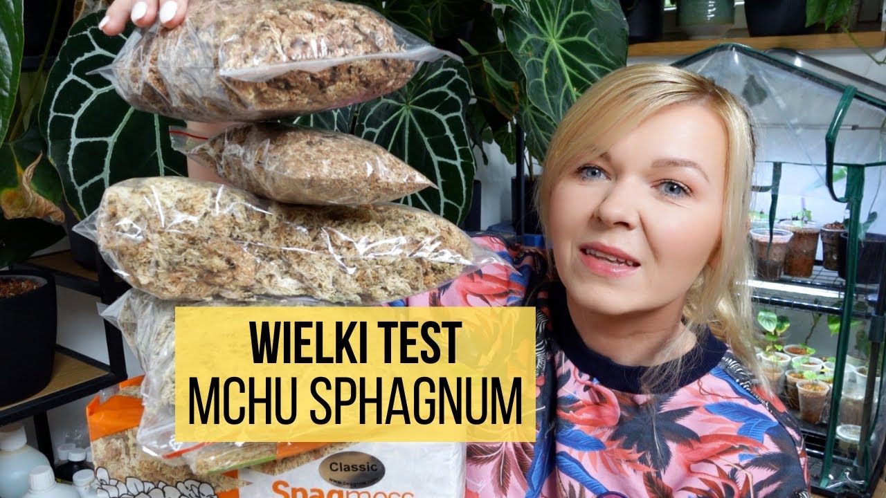 Wielki Test Mchu Sphagnum - sprawdź, czego NIE kupować!