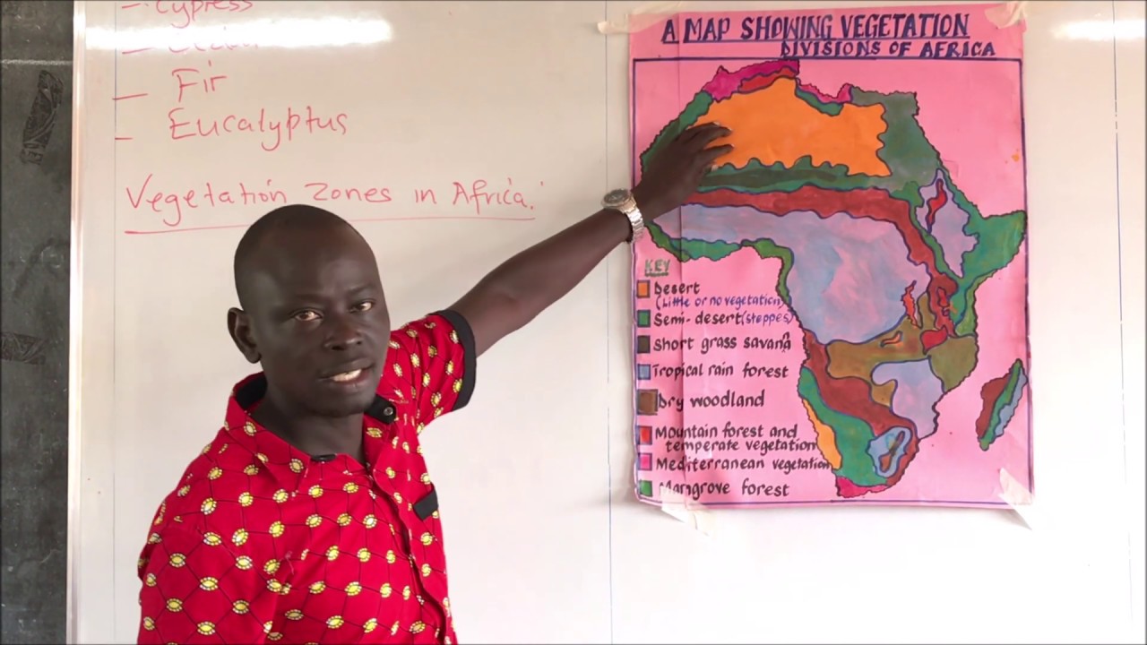 SOCIAL STUDIES P 7