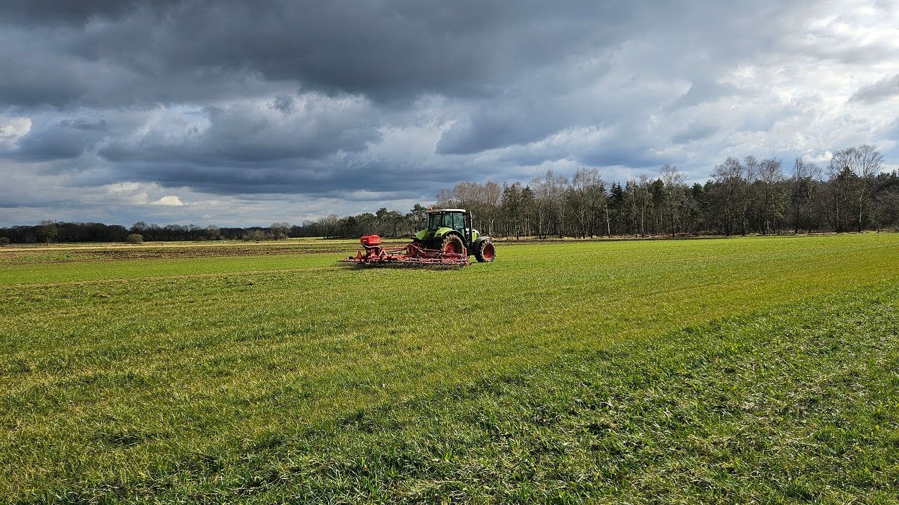 Graslandverzorging in het vroege voorjaar: tips van teeltspecialist Ludwig | LG Seeds