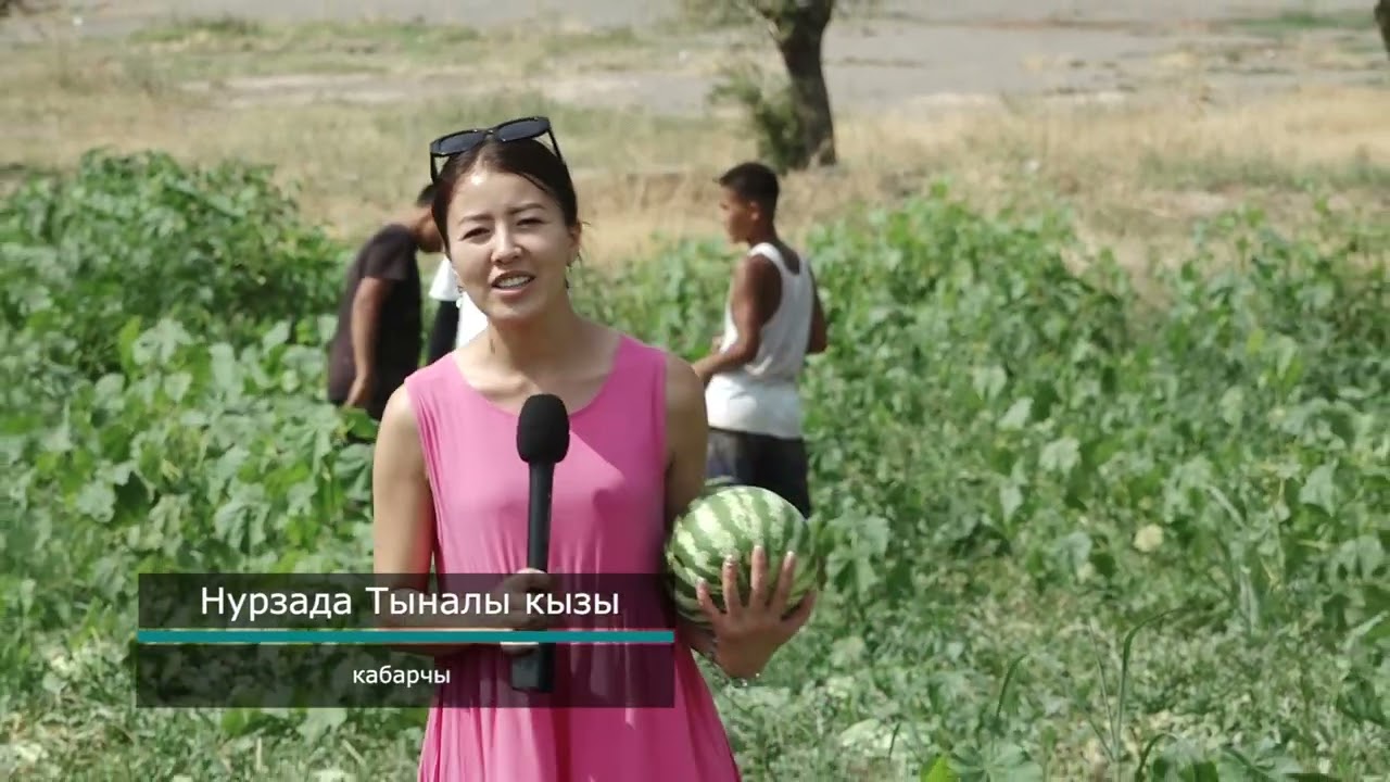 ОТУЗ-АДЫР ЖАНА КАТТА-ТАЛДЫК АЙЫЛ АЙМАГЫНДАГЫ ИШТЕН ИЙГИЛИК ЖАРАТКАНДАР