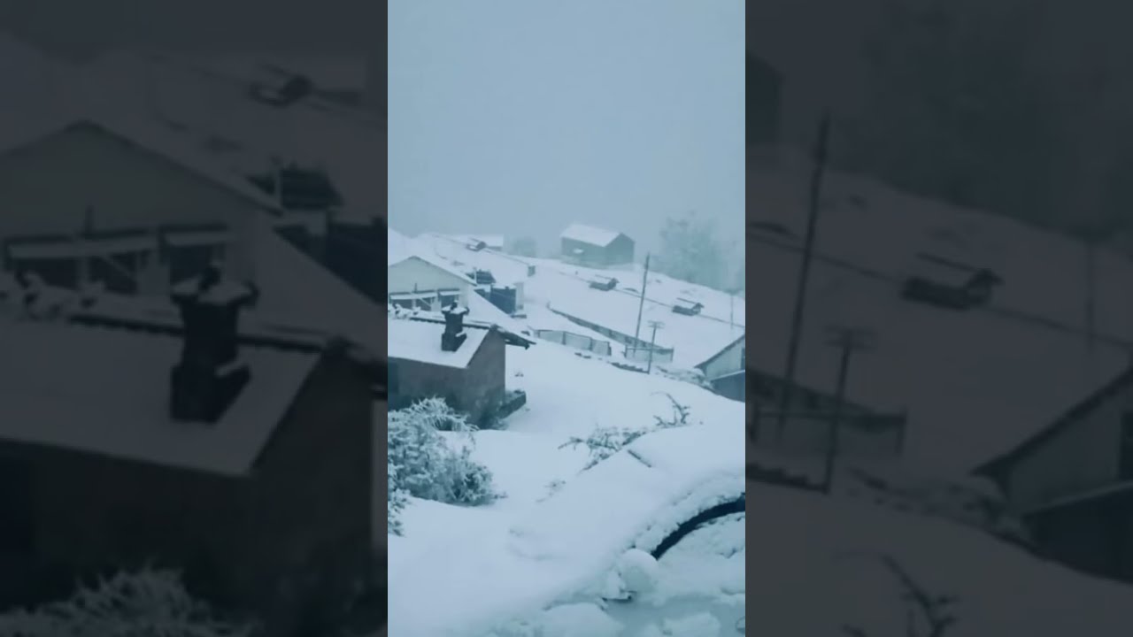 Maya Tiwari  uk 909 is live