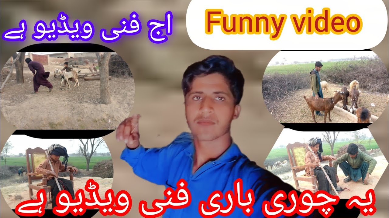 Funny video بکرا چور 🤣🤣🤣