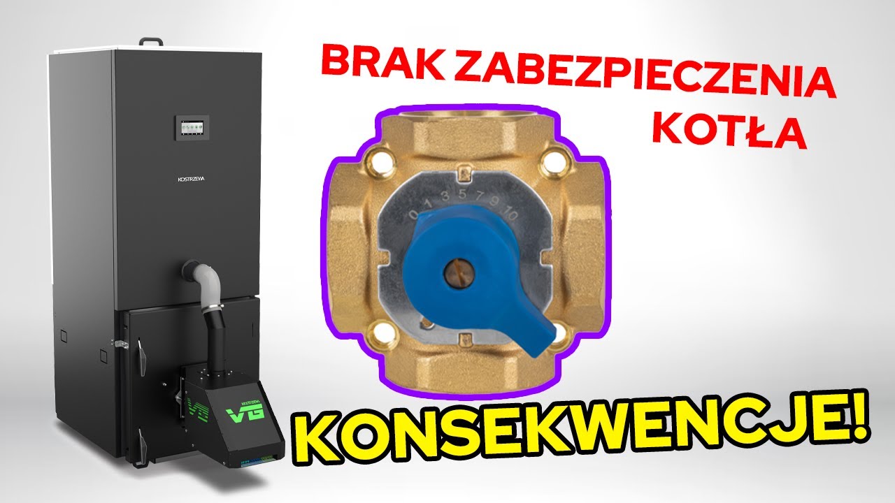 Do czego doprowadza brak ochrony powrotu? - odc.306 Dobrekotly.pl