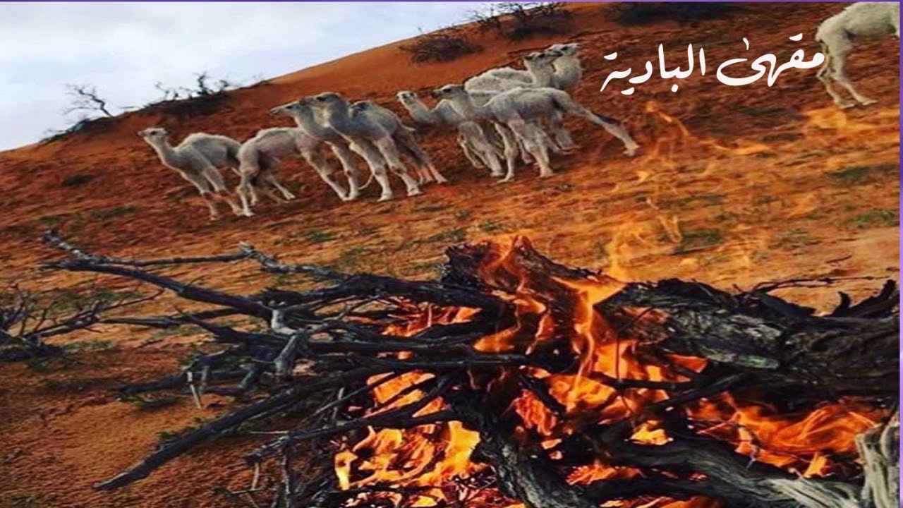 مسحوب عود _عزتي لمولع القلب من تالي النهار - سيف الجابري (النسخة الأصلية)