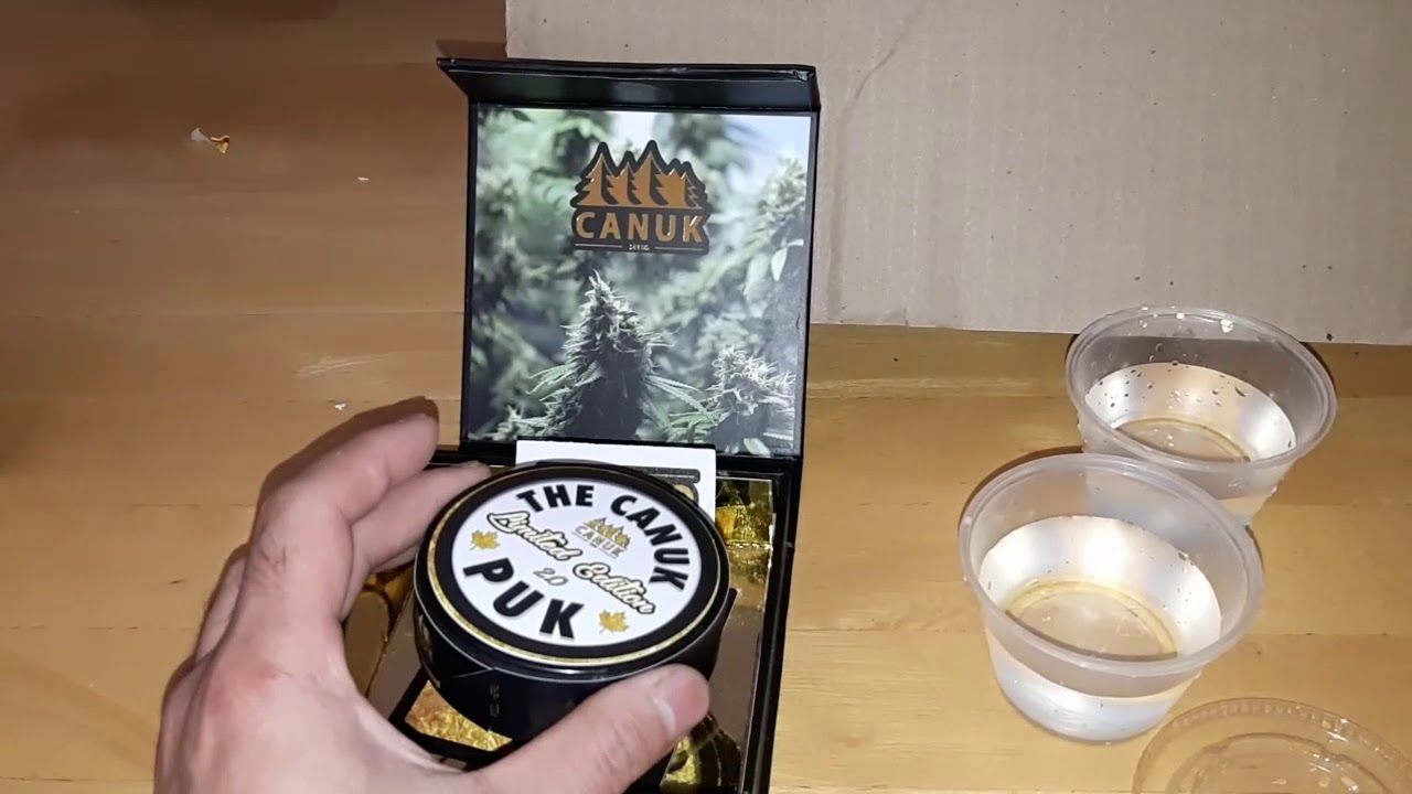 Popping Seeds/Germinating  Jack Herer and Gorilla Glue#4