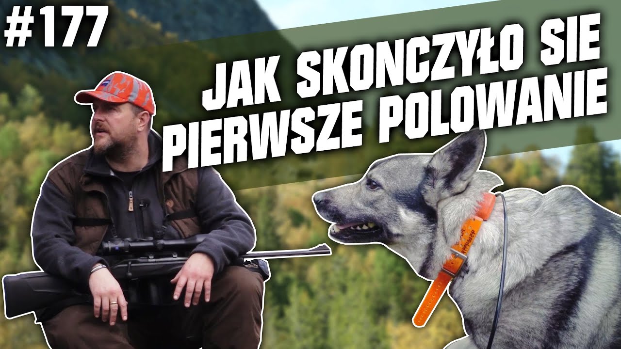 Darz Bór odc. 177 - Jak skończyło się pierwsze polowanie na łosia