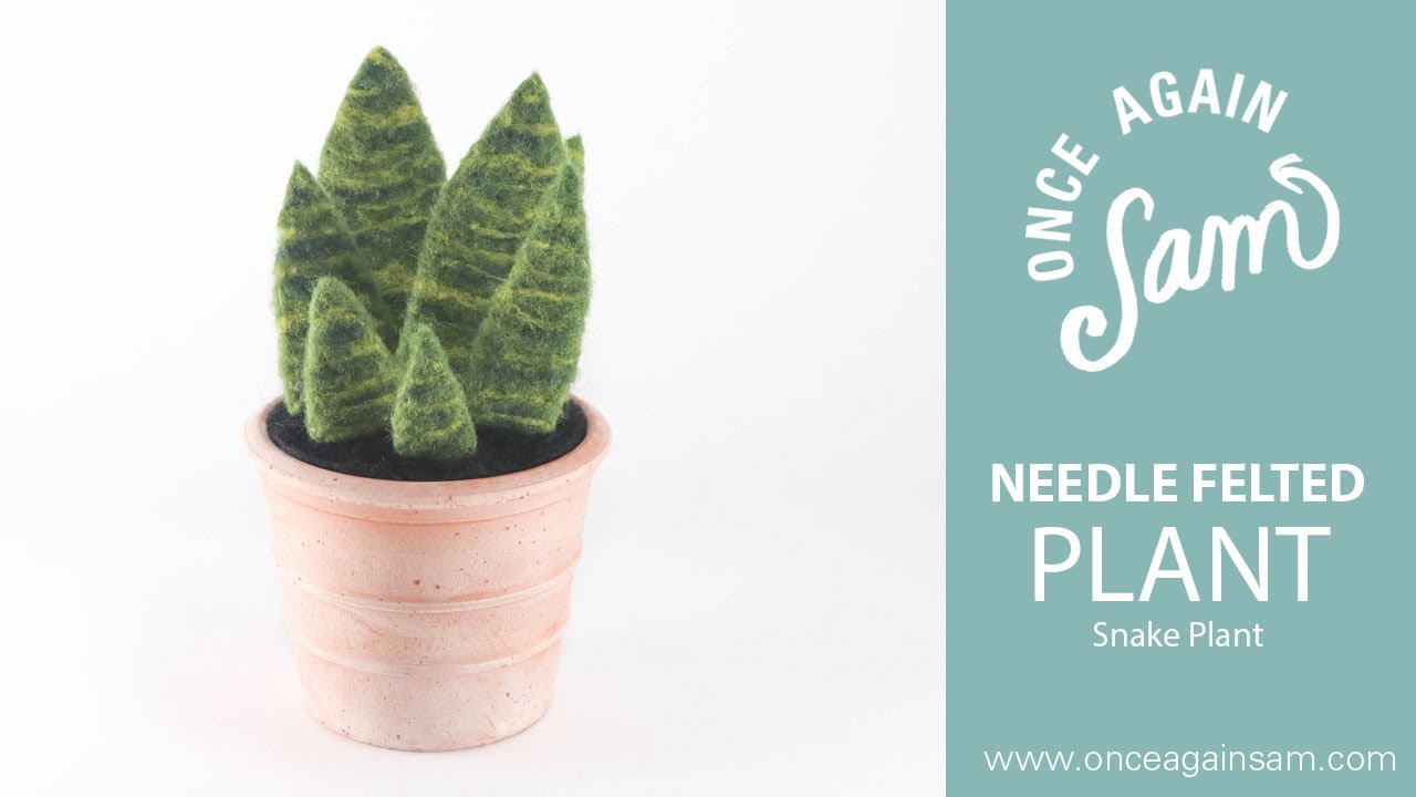 Learn to Needle Felt a Cactus: Snake Project