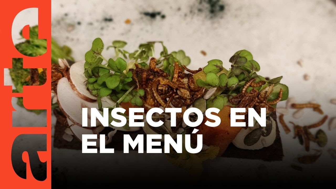 Insectos en el menú: la nueva cocina francesa | ARTE.tv Documentales