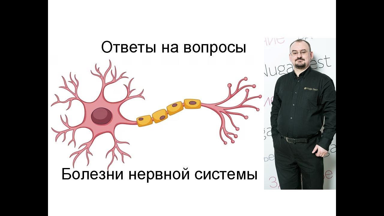 Ответы на вопросы по теме «Болезни нервной системы»