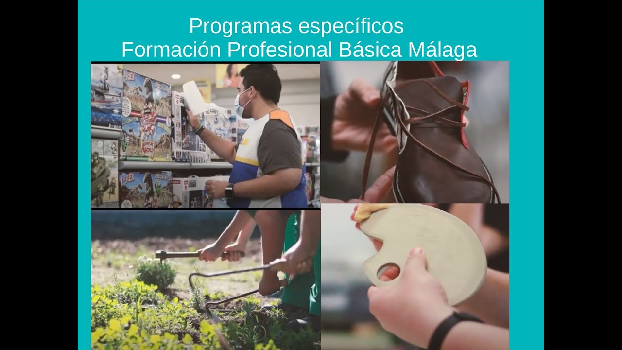 Programas específicos de FPB Málaga