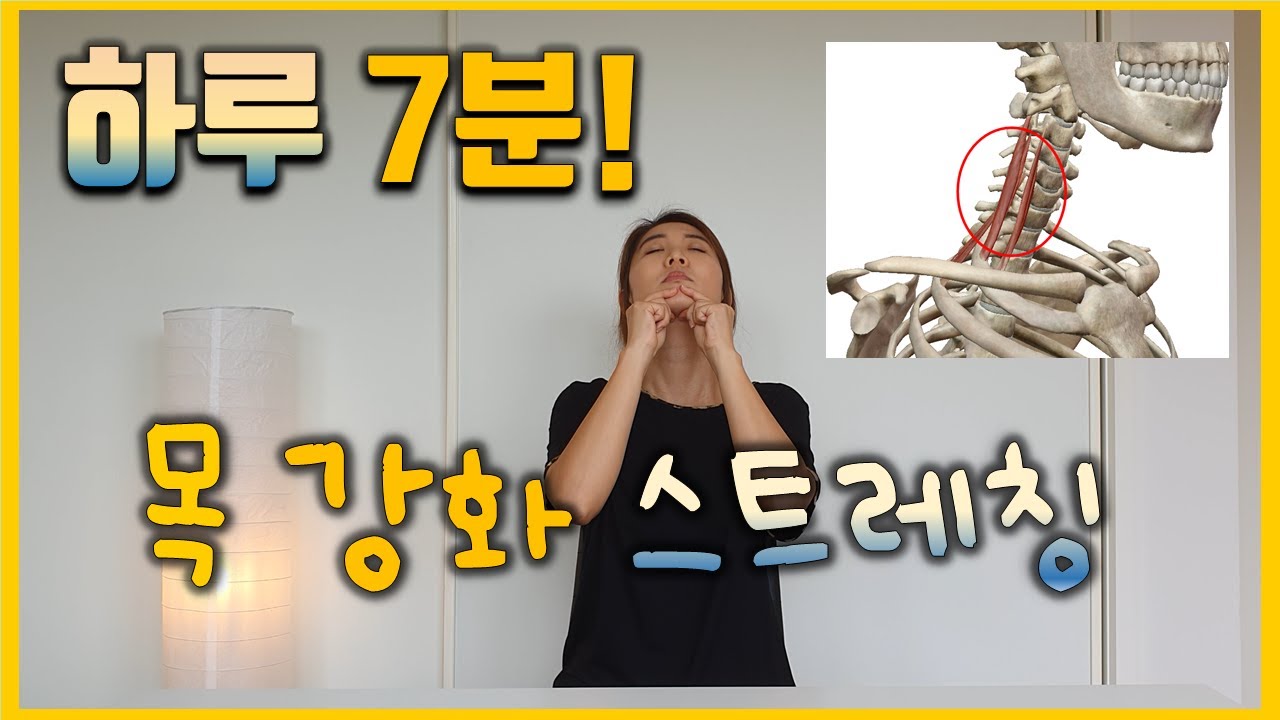 운동과 스트레칭을 동시에! 현존하는 최고의 목 스트레칭: 목 원심성 운동 따라하기