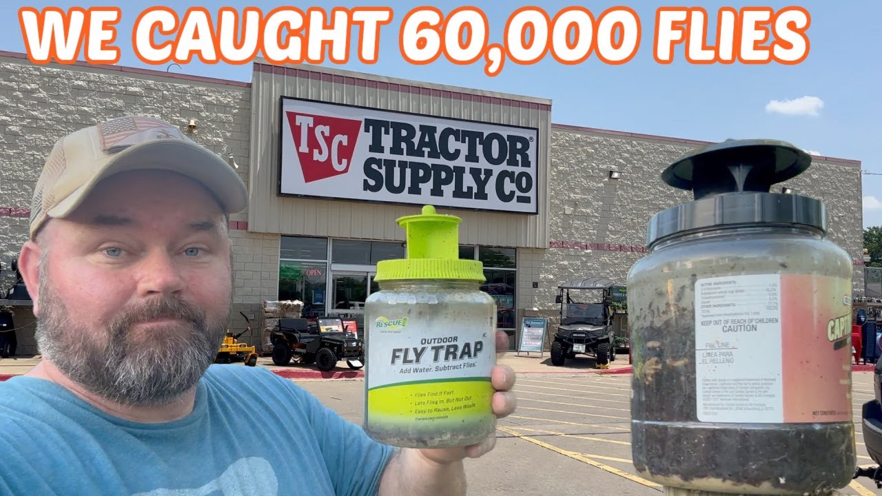 Watch This Before You Buy Tractor Supply Fly Traps! With Keeping It Dutch
