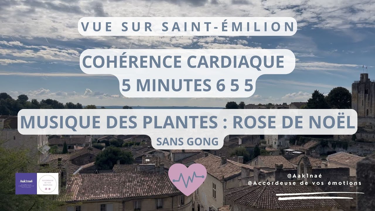 1.2 COHÉRENCE CARDIAQUE Saint-Émilion - 5min 6 5 5  - MUSIQUE DES PLANTES : Rose de Noël