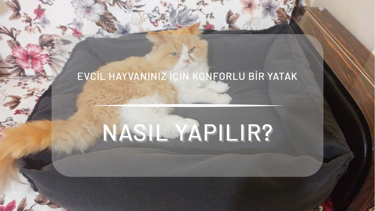 Kedi/Köpek Yatağı Nasıl Yapılır? How To Make Cat/Dog Bed? DIY