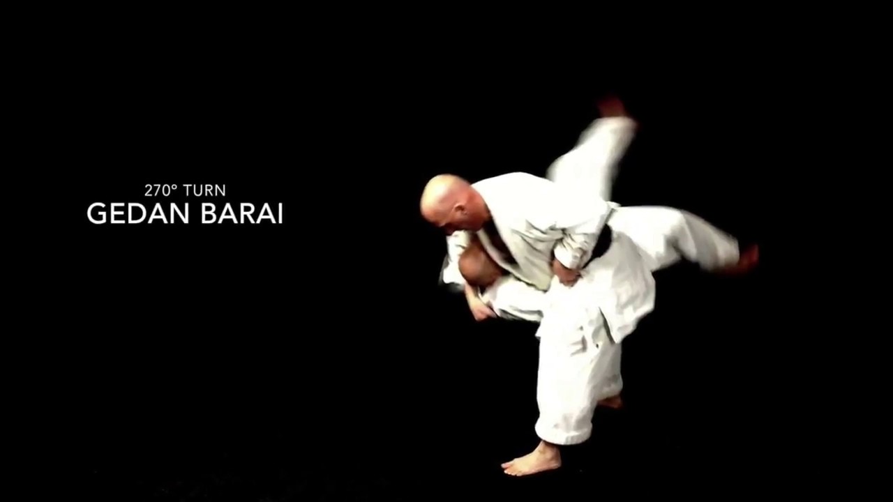 Heian Shodan bunkai preview