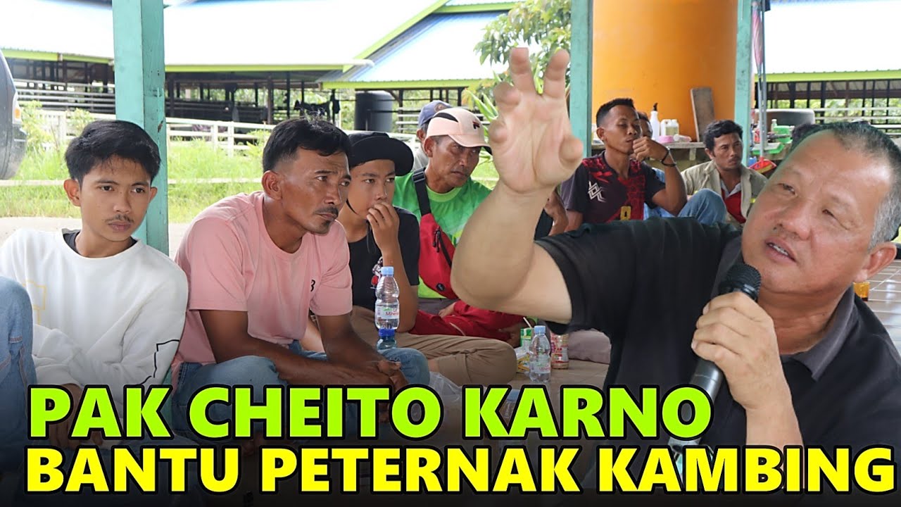 ANTUSIAS WARGA DESA GUNUNG PUTIH & TRANSMIGRASI TERNAK KAMBING BERMITRA DENGAN BULUNGAN MANDIRI FARM