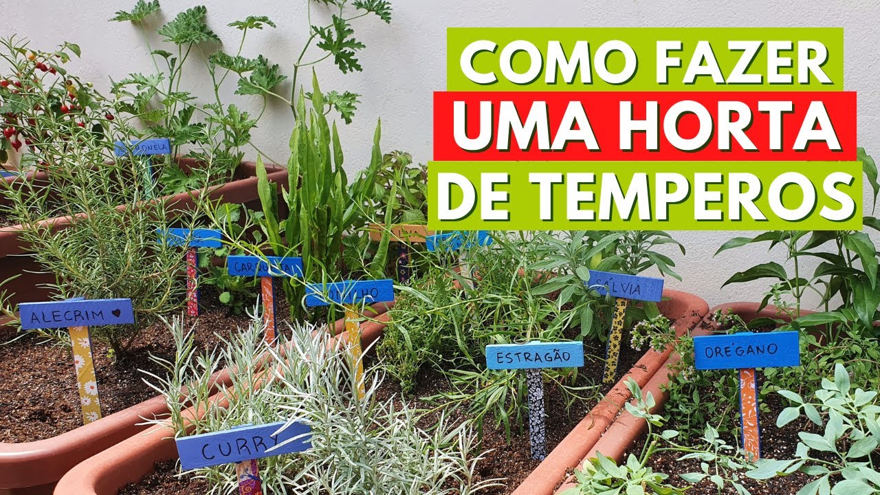 COMO FAZER UMA MINI HORTA DE TEMPEROS EM VASOS! MUITAS ERVAS AROMÁTICAS! CANAL MEU QUINTAL