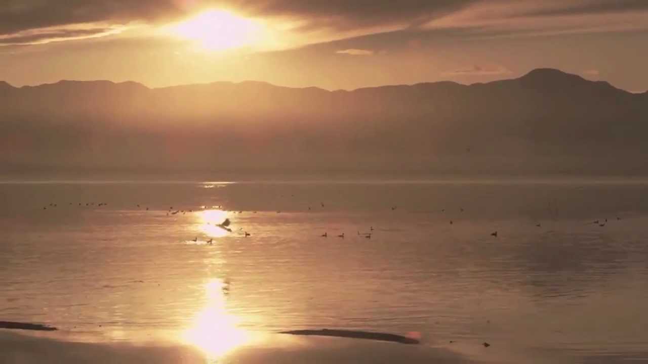 Woman in Love - Mariana Preda