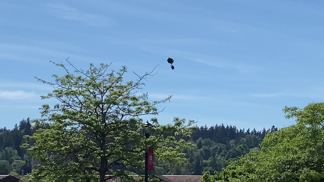 Balloon rescue