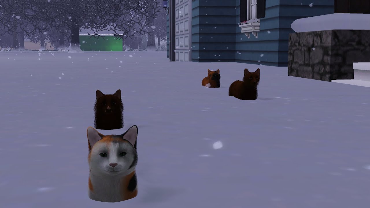 [OPEN] TheSims3: Warrior Cats Challenge Cast Creations #10 ~ Bumbleleaf and Aether
