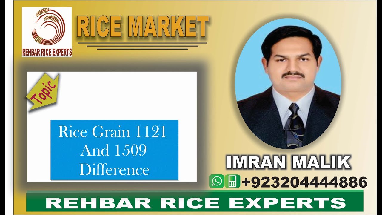 1121 || 1509 || 1121 Rice || 1509 Rice || Rice Grain 1121 and 1509 || 1121 and 1509 Rice