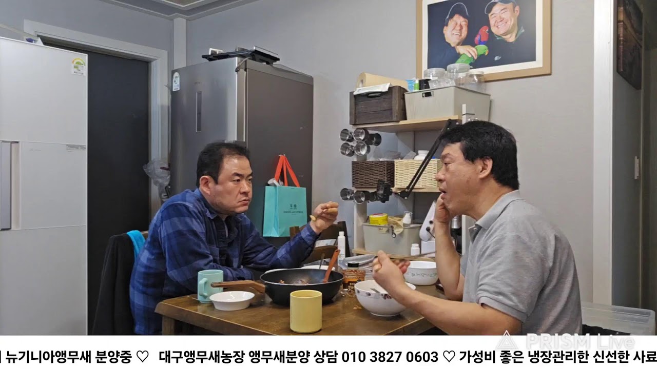 앵무새 아침이유식먹이기  대구앵무새농장 [ Birdlake ]  실시간라이브 앵무새분양 앵무새행동상담 20260226