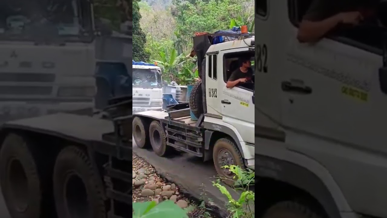 Truk trailer tarik- tarikan#shortvideo
