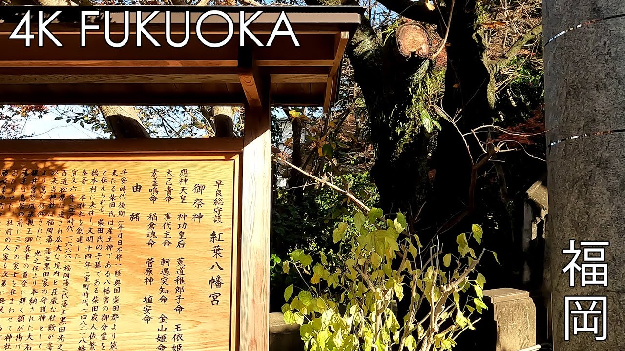4K Japan Bike Ride - Fukuoka Tenjin (福岡天神) to Momiji Hachimangu (紅葉八幡宮) - 2022