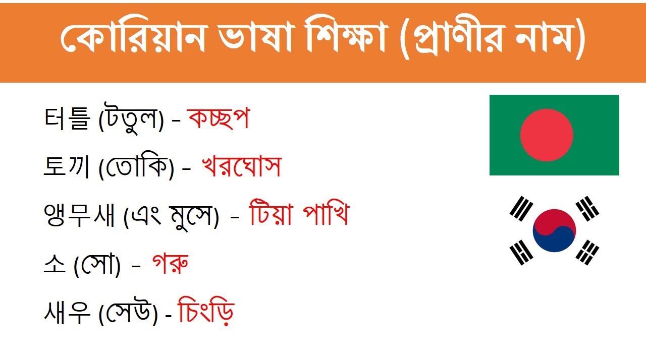 কোরিয়ান ভাষা শিক্ষা | কোরিয়ান শব্দার্থ - ৫ | Learn Korean Bangla Tutorial | EPS TOPIK CBT