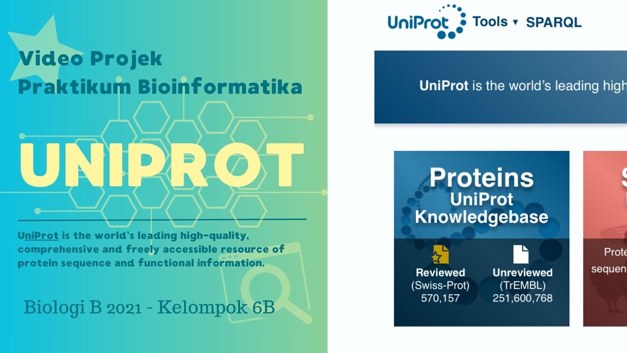 PRAKTIKUM BIOINFORMATIKA | WEBSITE UNIPROT
