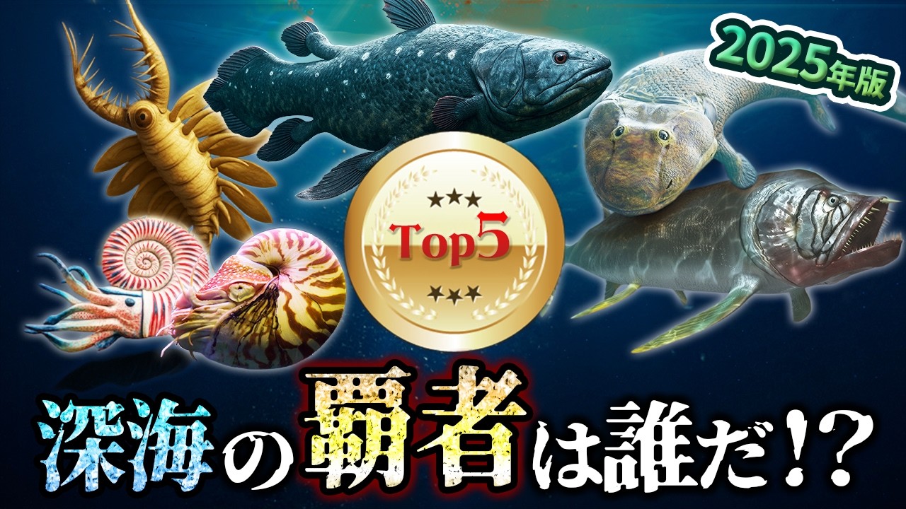 【ゆっくり解説】2025年古代の海視聴回数ランキング！Top５