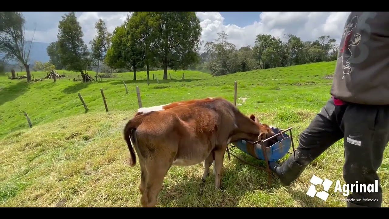 Testimonio Finca San Jos&eacute; de la Monta&ntilde;a - Ganader&iacute;a Agrinal