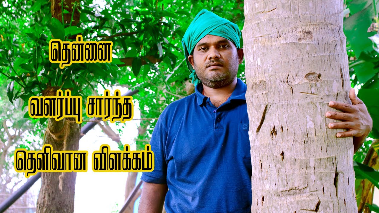 இயற்கை முறையில் தென்னையில் அதிக காய்கள் வைக்க எளிய தொழில்நுட்பம் |Nature Farming| Part 3