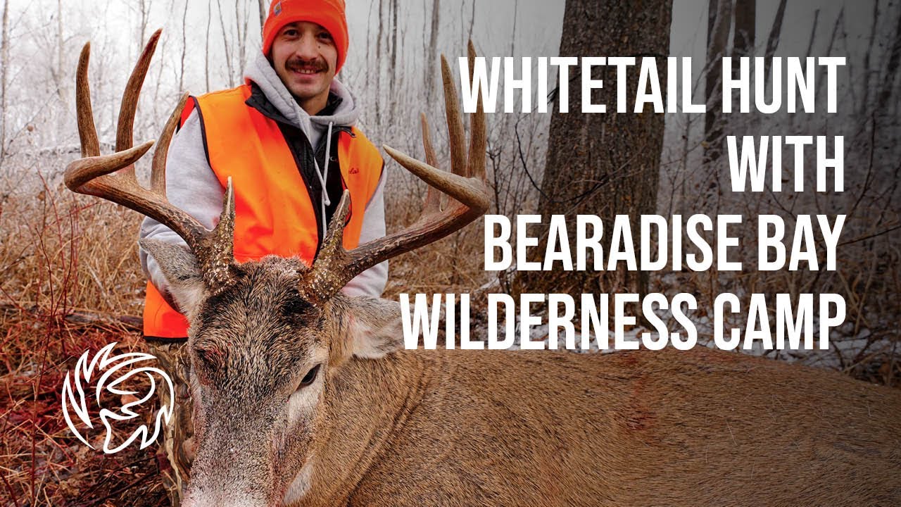 Saskatchewan Whitetail Deer Hunting at Bearadise Bay Wilderness Camp