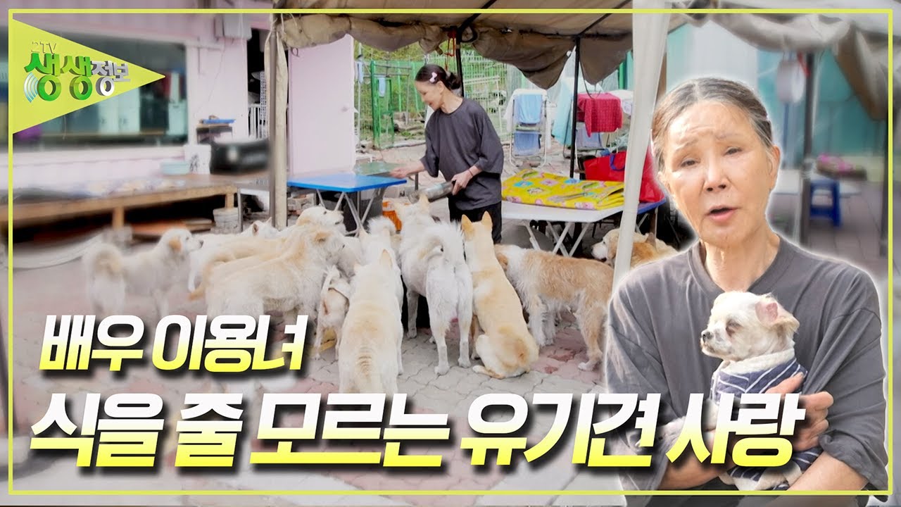 [사건과 실화] 배우 이용녀가 유기견의 대모가 된 사건은? [2TV 생생정보] KBS 250507 방송