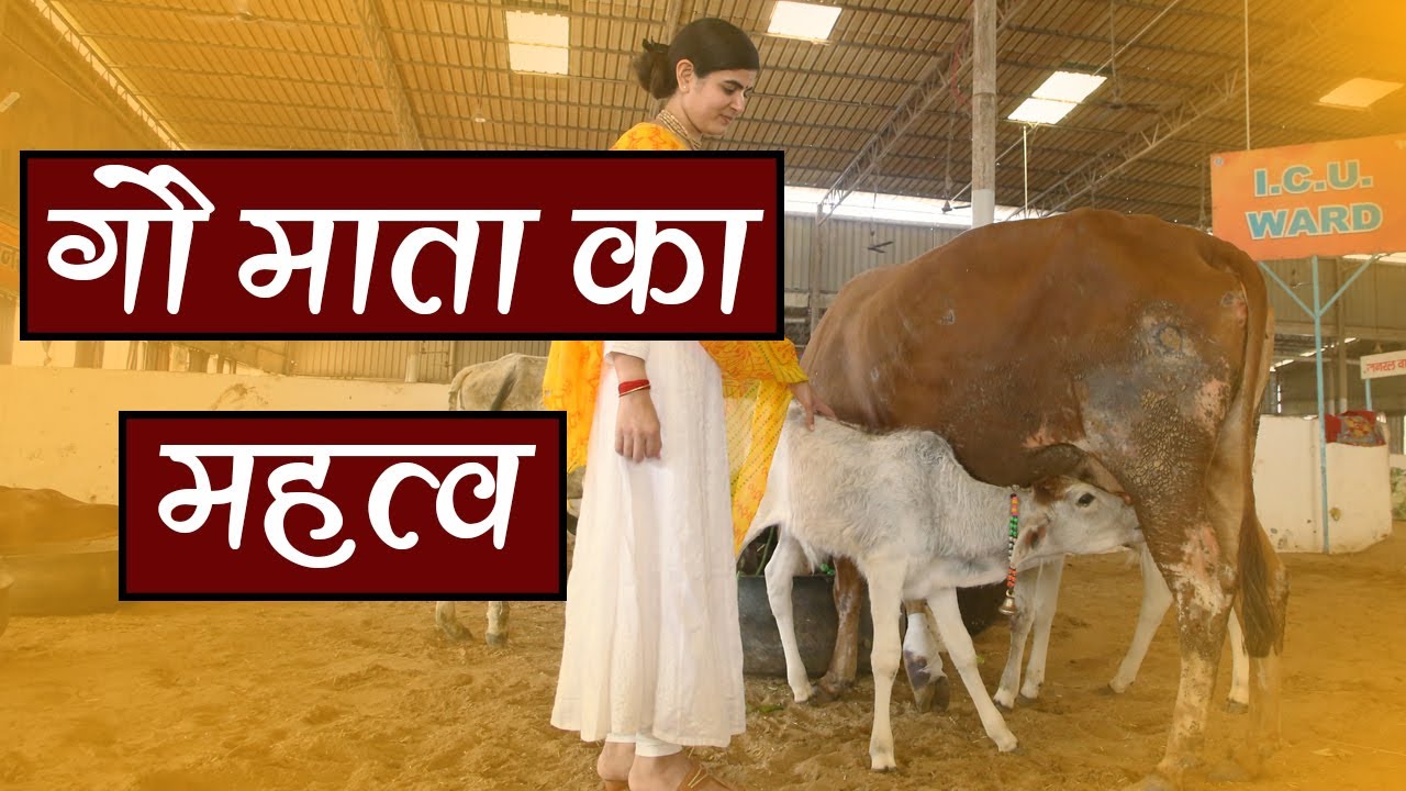 गौ सेवा की महिमा।